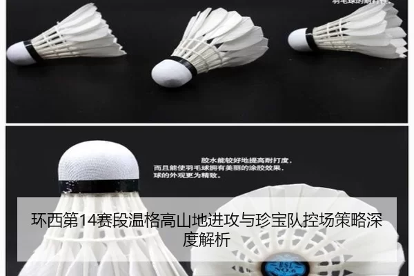环西第14赛段温格高山地进攻与珍宝队控场策略深度解析
